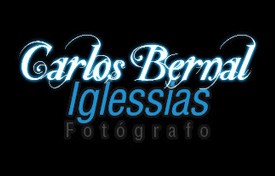 diseo de logo carlosbernaliglessias.com