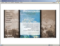 pgina web