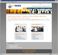 Diseo pgina web empresa de Vitoria Tacex.es