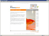 Diseo de newsletter